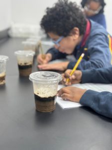 compost activity science