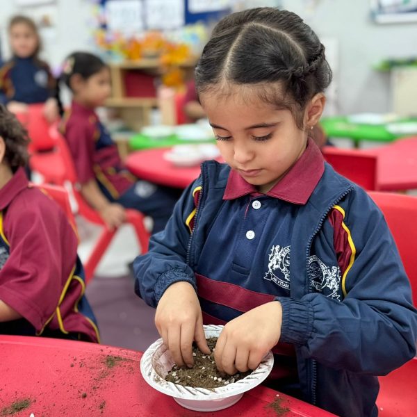 Buckswood - Kg2 Ib