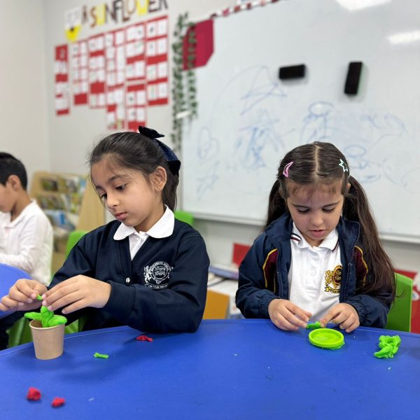 Buckswood - Year1 B