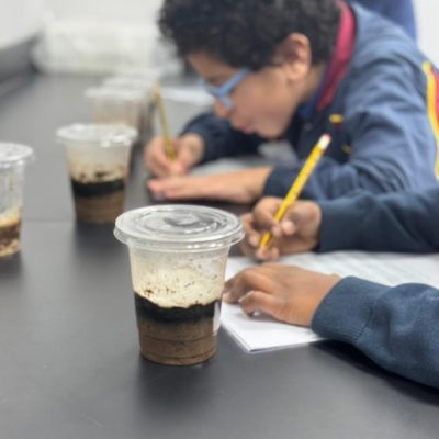 compost activity science