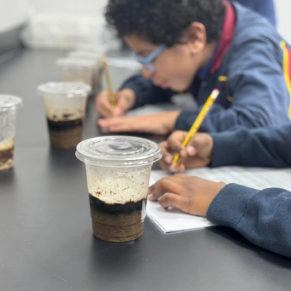 compost activity science